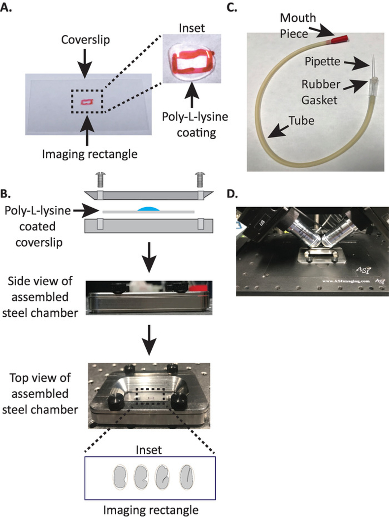 Figure 1: