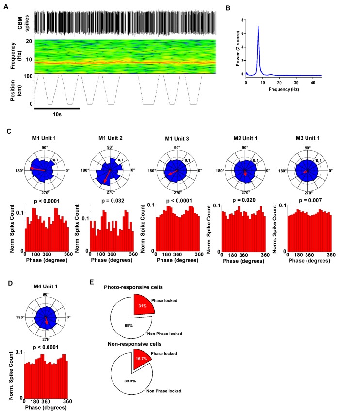 Figure 3—figure supplement 4.