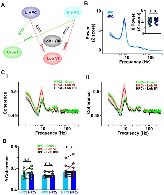 Figure 3—figure supplement 2.