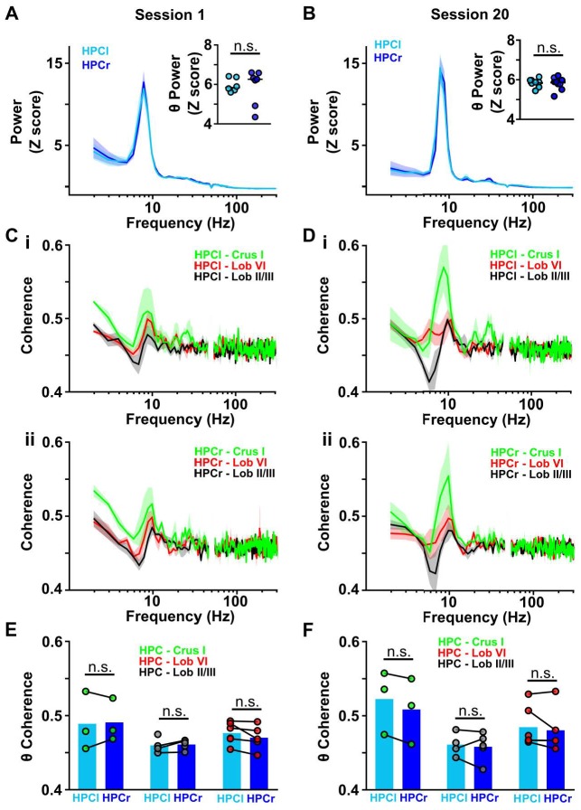 Figure 4—figure supplement 1.