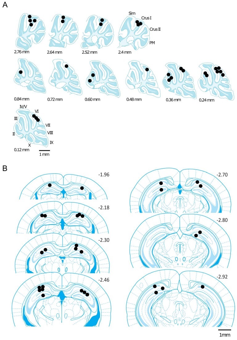 Figure 3—figure supplement 1.