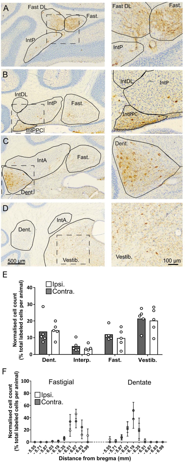 Figure 1—figure supplement 5.