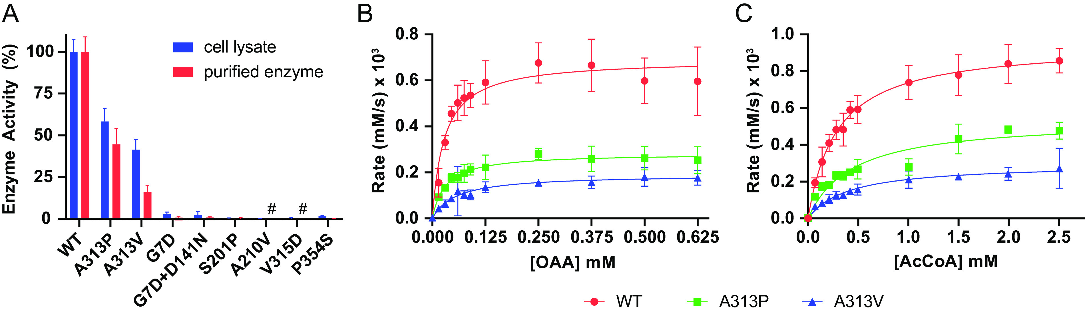 FIG 2