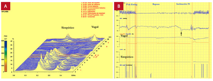 Figura 10