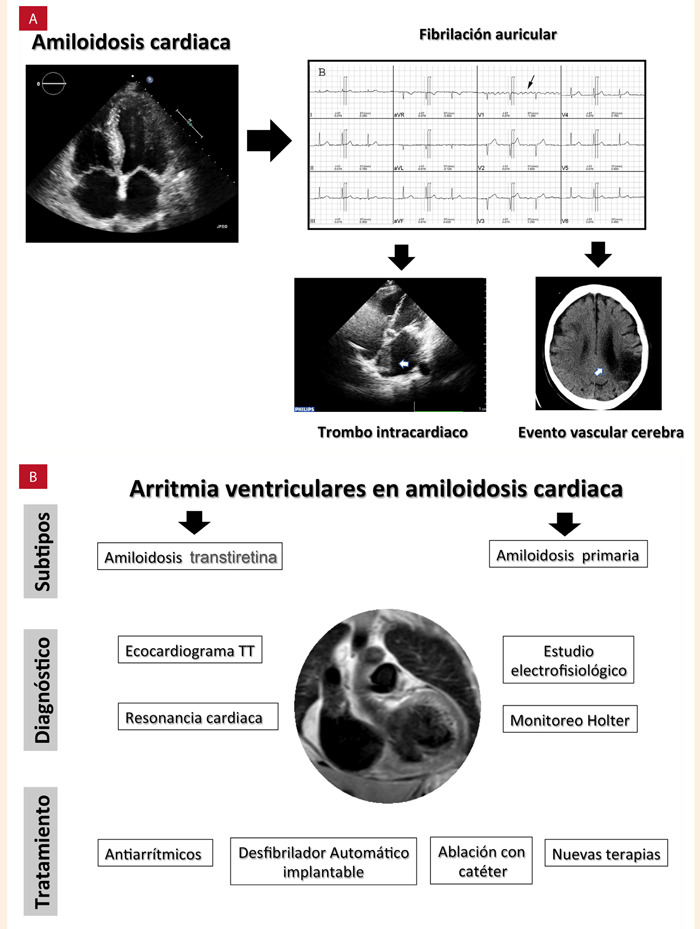 Figura 7