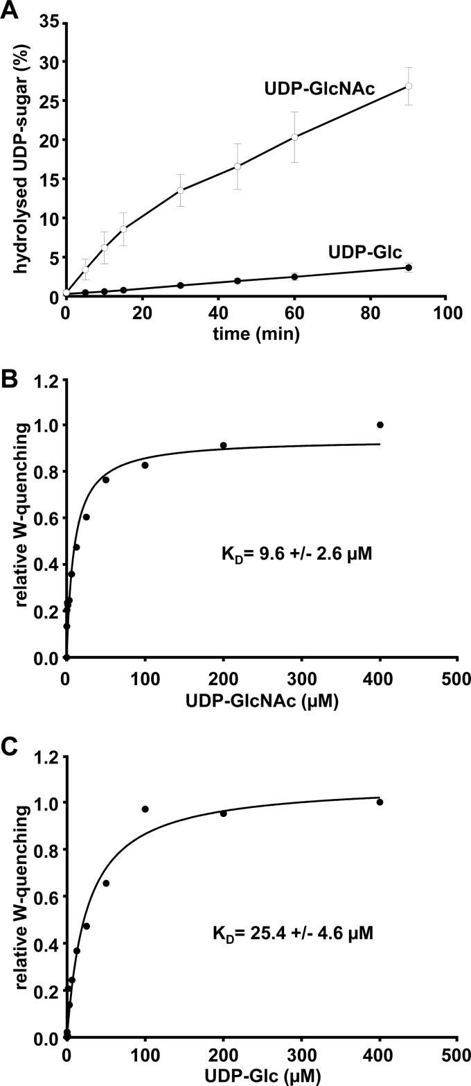 FIGURE 2.