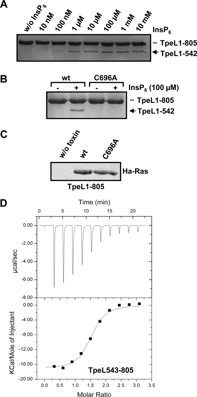 FIGURE 4.