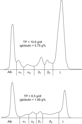 Figure 14.5