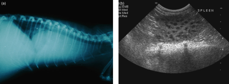 Figure 14.10