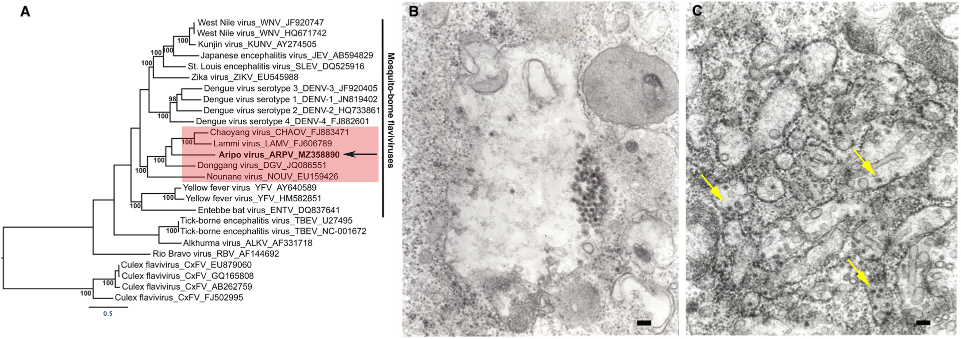 Figure 1: