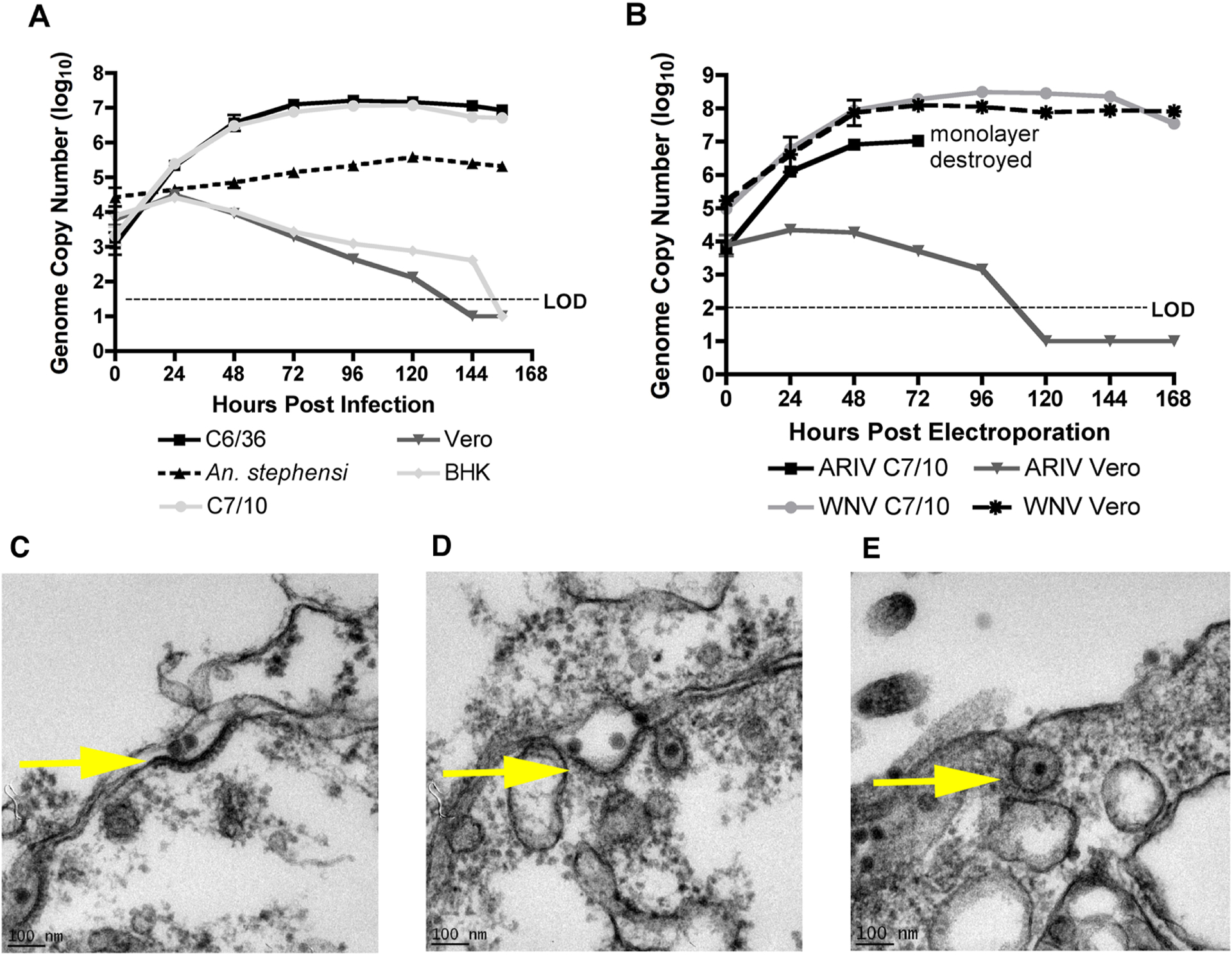 Figure 3: