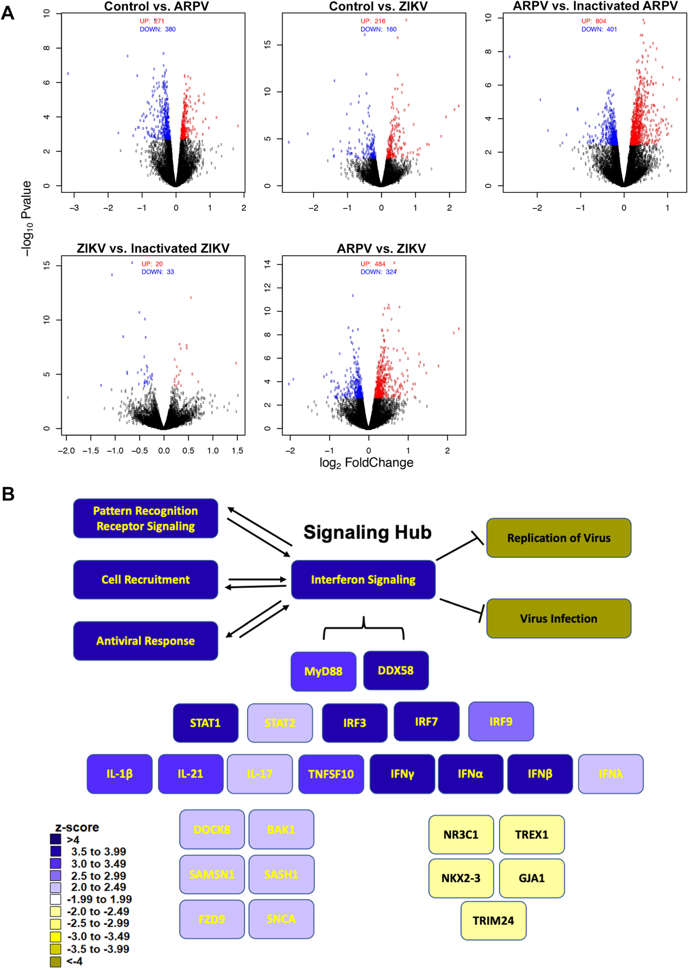 Figure 4: