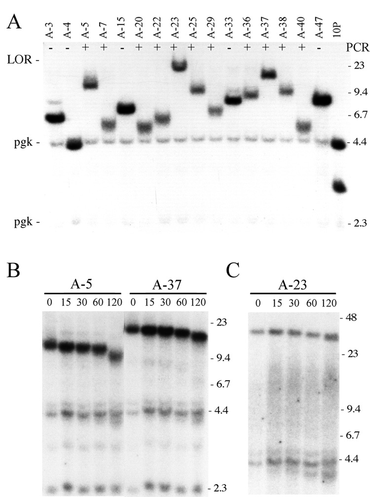 Fig. 7