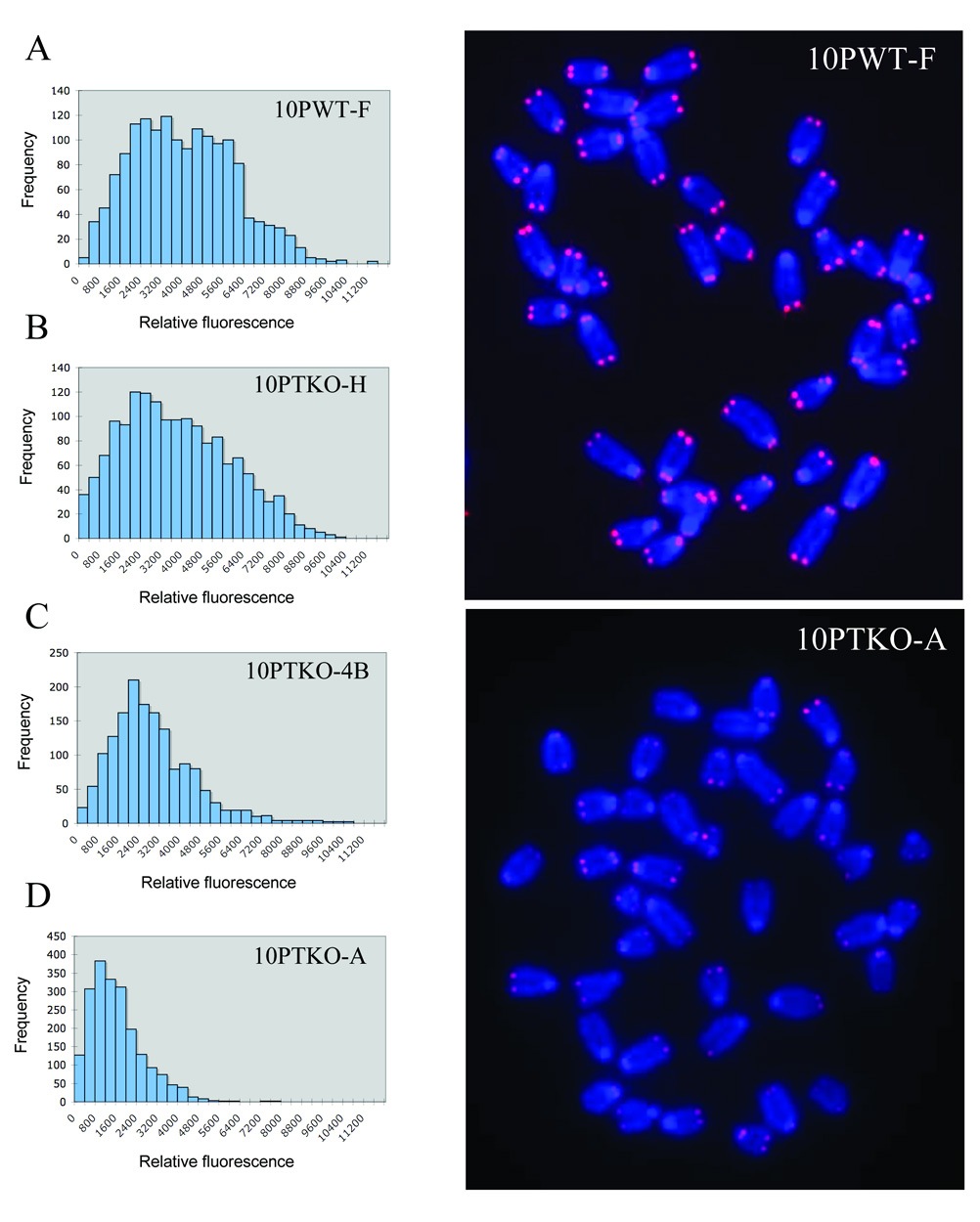 Fig. 10