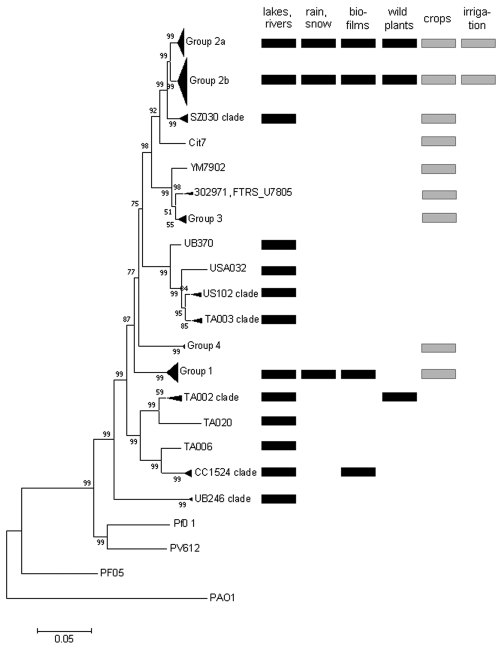 FIG 1 