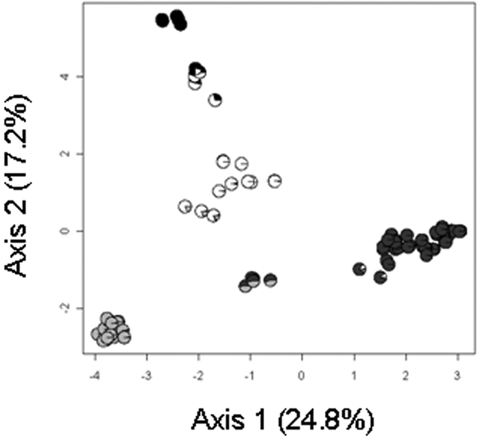 FIG 2 