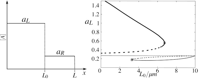 Fig. 12