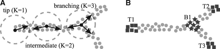 Fig. 1.