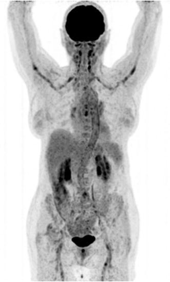 Fig. 8