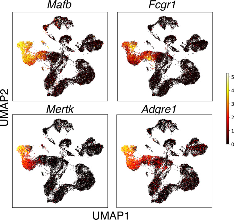 Figure 4—figure supplement 2.