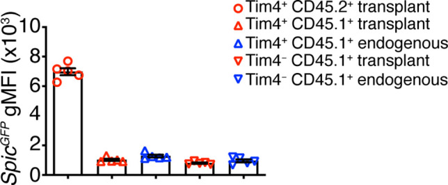 Figure 5—figure supplement 2.