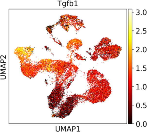 Figure 4—figure supplement 4.