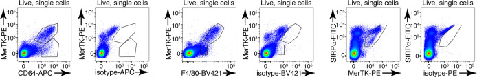 Figure 1—figure supplement 1.