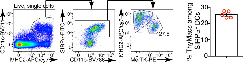 Figure 1—figure supplement 4.