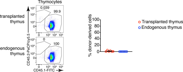 Figure 5—figure supplement 1.