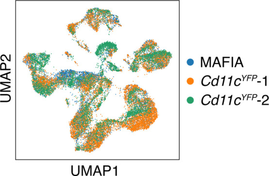 Figure 4—figure supplement 1.