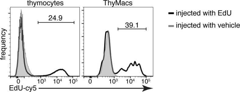 Figure 6—figure supplement 1.