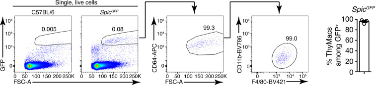 Figure 2—figure supplement 1.