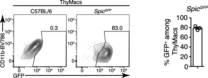 Figure 2—figure supplement 3.