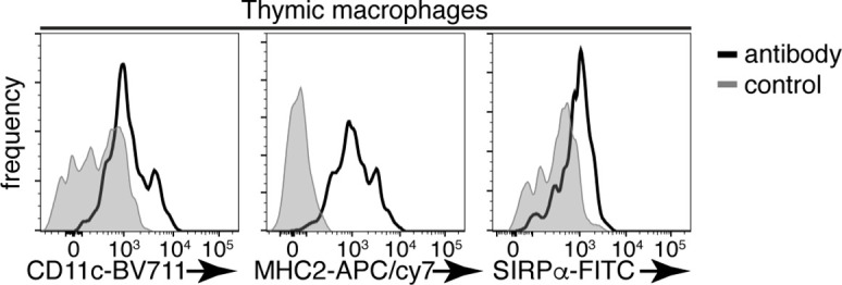 Figure 1—figure supplement 3.