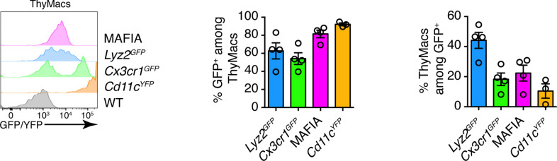 Figure 2—figure supplement 2.