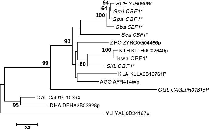 Fig. 3.—