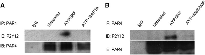 Fig. 8.