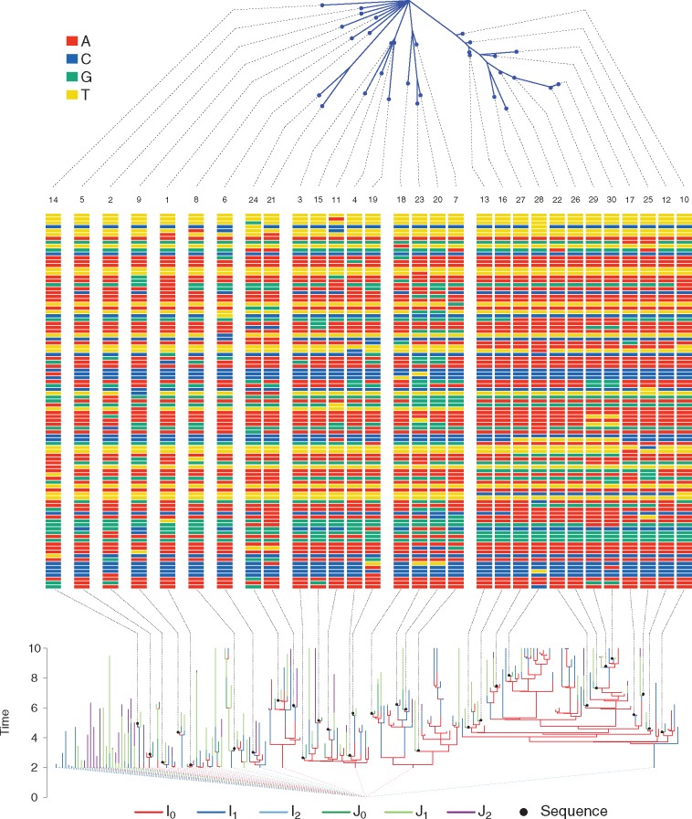 Fig. 3