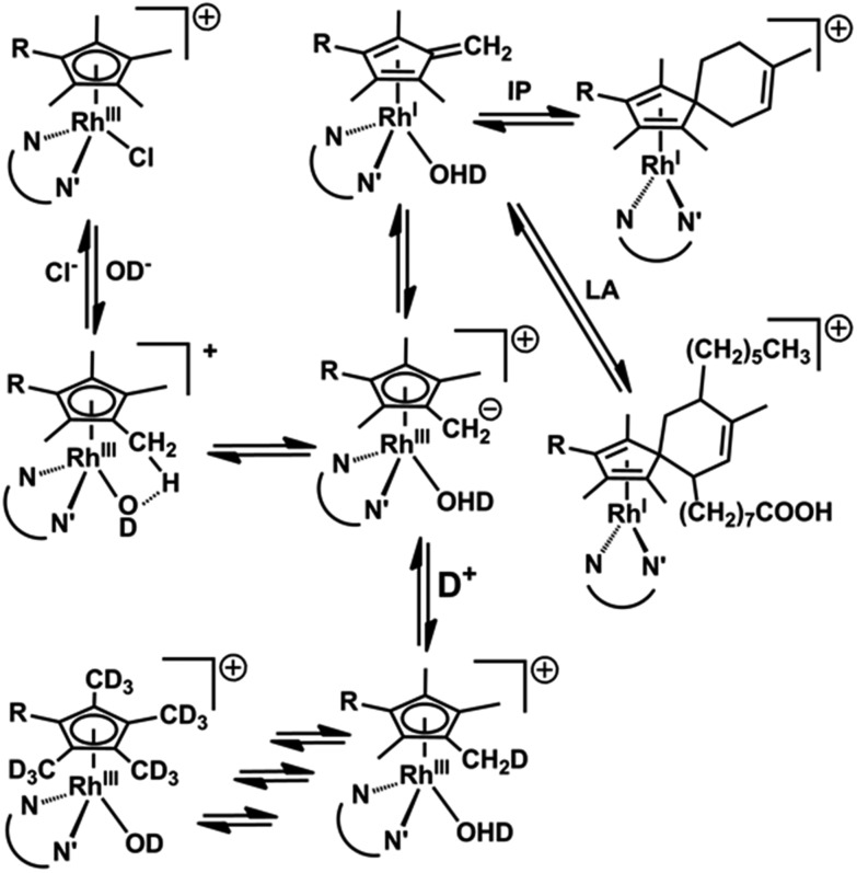 Fig. 8