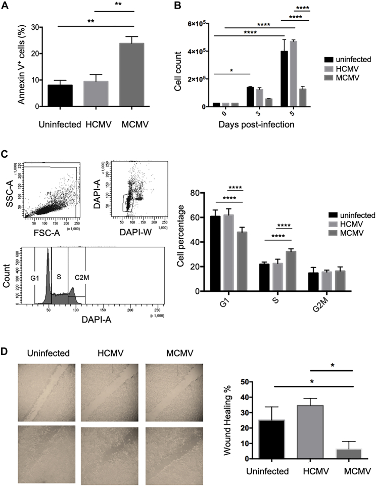 Figure 6