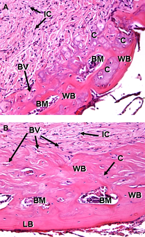 FIG. 8.