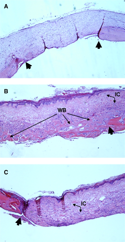 FIG. 7.