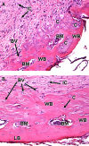 FIG. 8.