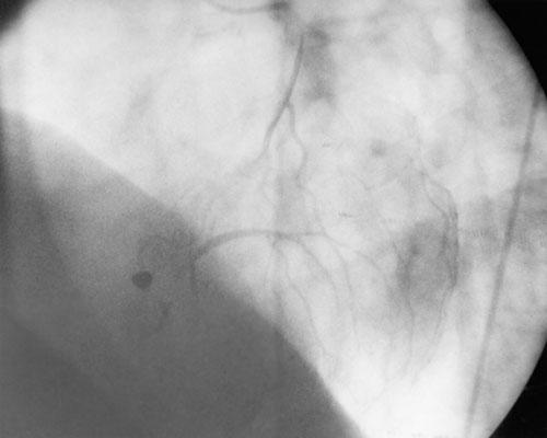 graphic file with name 19FF4.jpg