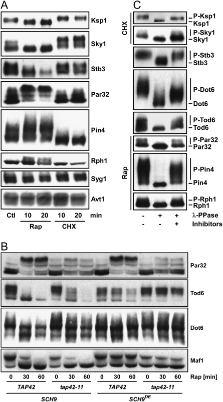 Figure 2.