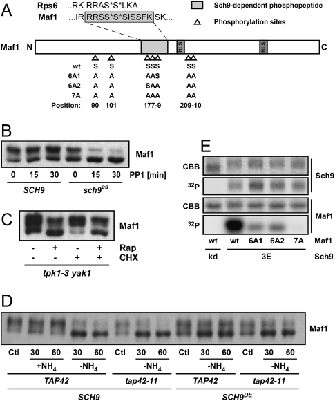 Figure 3.