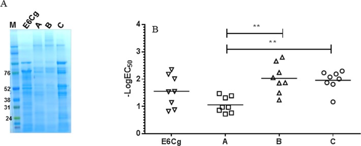 Fig 5