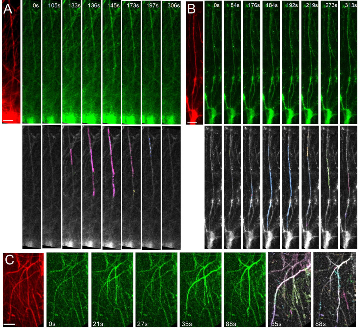 Figure 2: