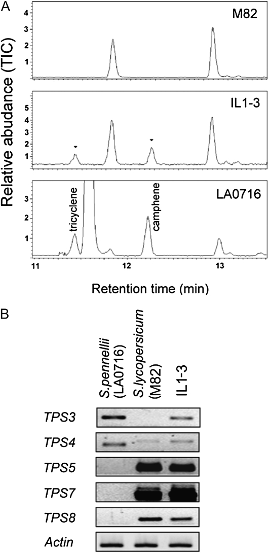 Figure 9.