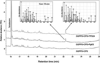 Figure 10.